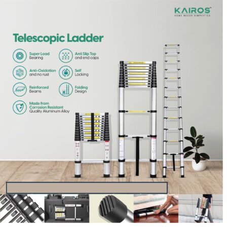 TELESCOPIC LADDER